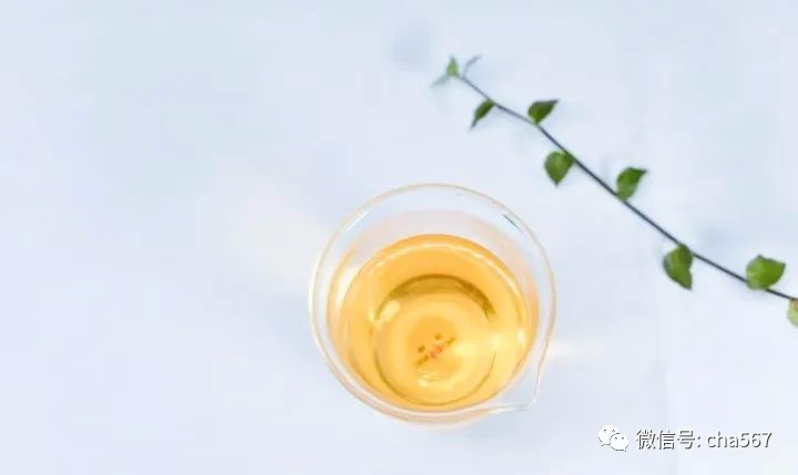 六大茶类中产量最低,少人问津的黄茶!