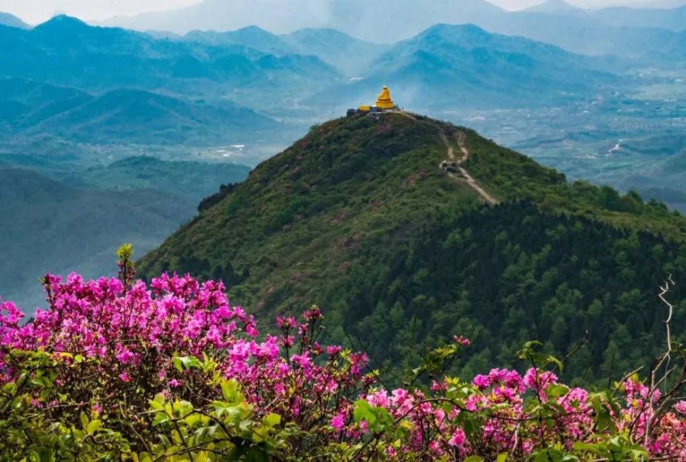 从山脚仰望 地址:奉化区西坞街道金峨村