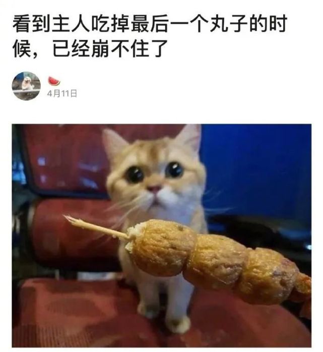 太残忍了!眼泪汪汪!