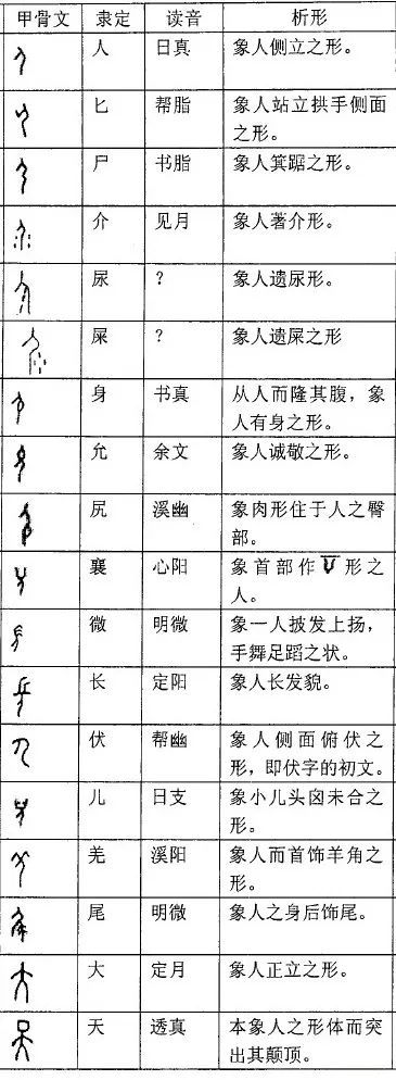 甲骨文261个象形字:古人天真烂漫的"简笔画"