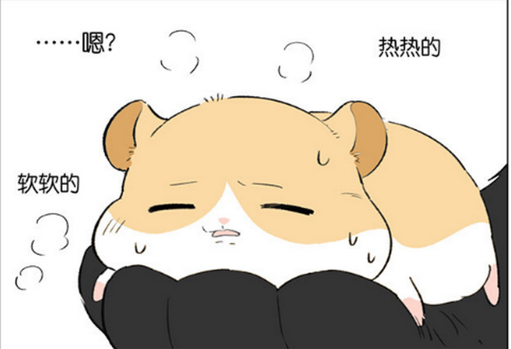奇趣漫画:仓鼠跑步时飞了出去,还好猫咪一直在暗中保护它