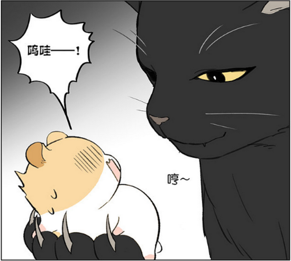 奇趣漫画:仓鼠跑步时飞了出去,还好猫咪一直在暗中保护它