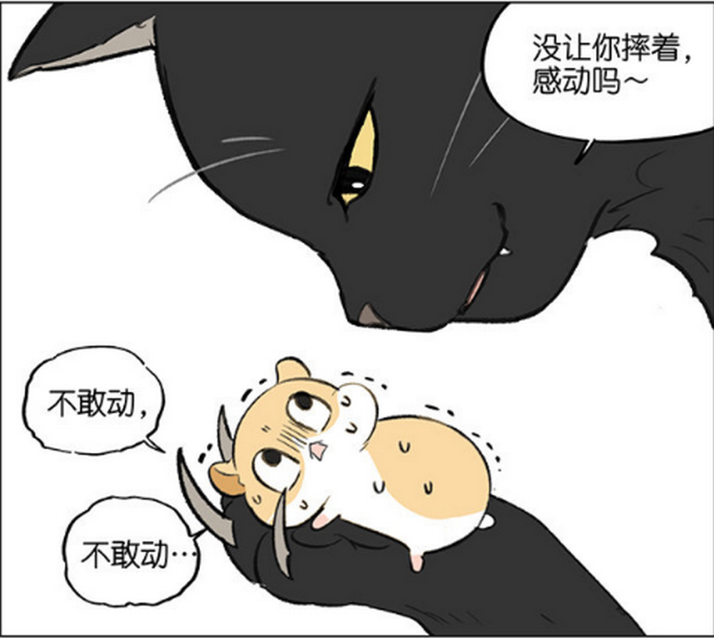 奇趣漫画:仓鼠跑步时飞了出去,还好猫咪一直在暗中保护它