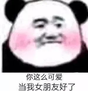 4.26表情包不聊了timi去了