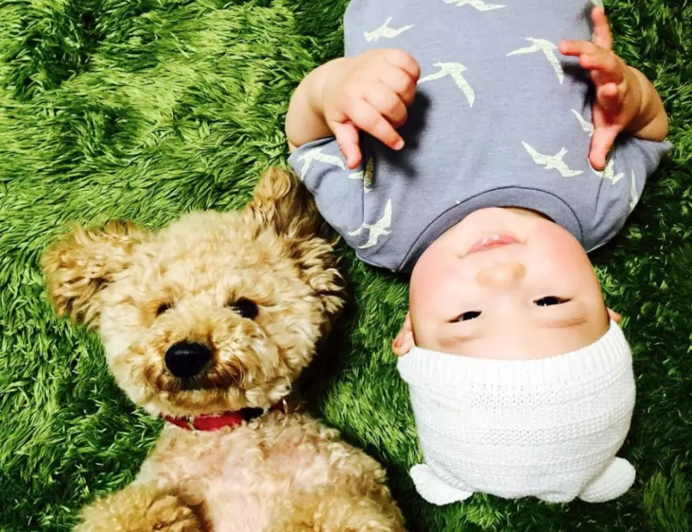 一张床一个女孩斗牛猜成语_黄渤斗牛图片(3)