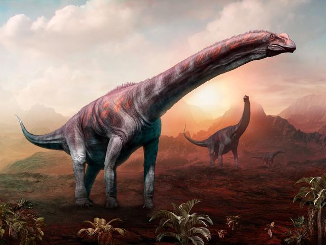 蜥脚类恐龙 有些蜥脚类动物,比如白垩纪的阿根廷龙,体长35米,重70吨.