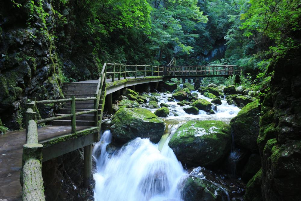 西安自驾一小时,穿越秦岭终南山隧道,牛背梁是个好地方