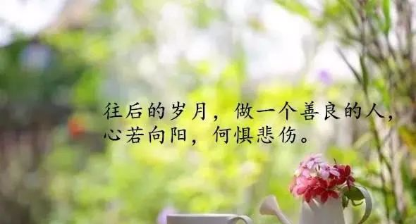 人生感悟经典语录,句句说到人心深处