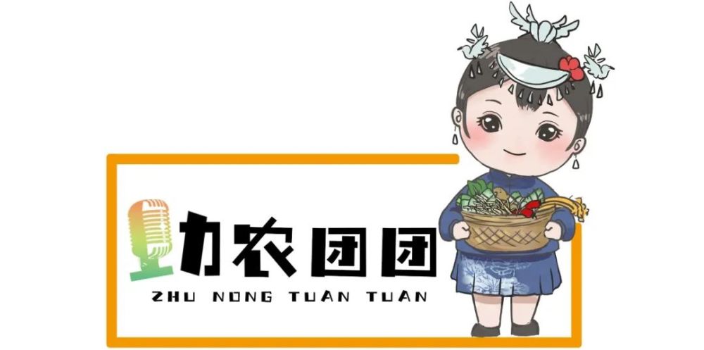 扶贫·助农·团购│台江香菇脆,大山里走出来的原味!