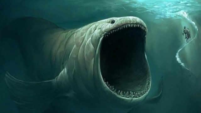 深海里有比蓝鲸还大的巨型动物吗?这些年我们猜错了