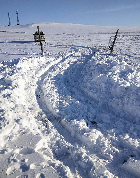 暴风雪中抢修,保障用户通讯畅通