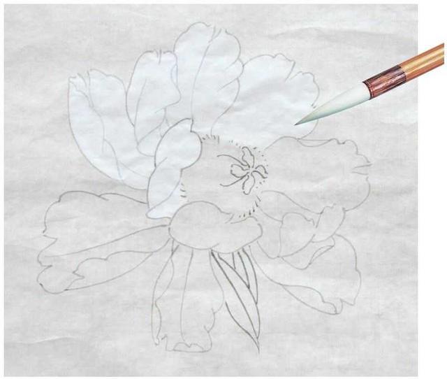 工笔画知识:牡丹工笔画中常用的染色技法讲解,简单易学,快收藏