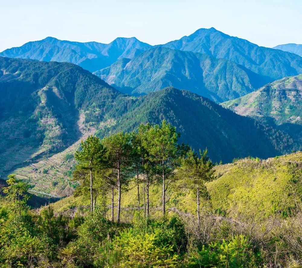 百山祖国家公园之:印象英川