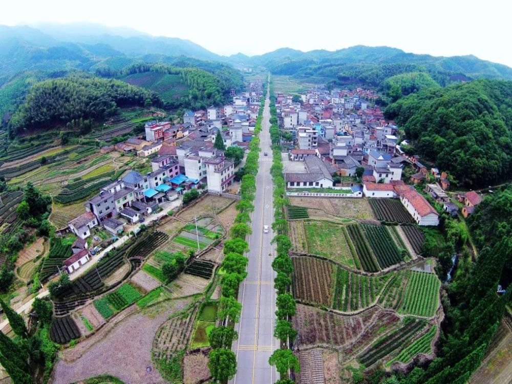 大交通助力"一城五区"建设——遂昌"八大战役"之交通建设阵地战综述