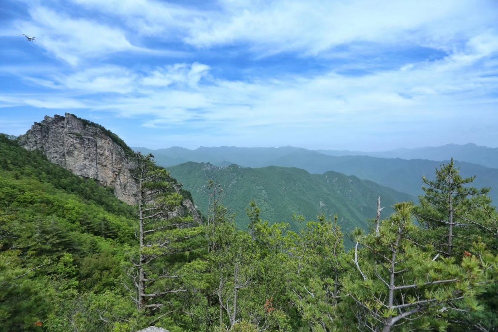 当你闲暇亦或是繁杂的时候,去牛背梁清心养肺,看看风景,也不失为一种