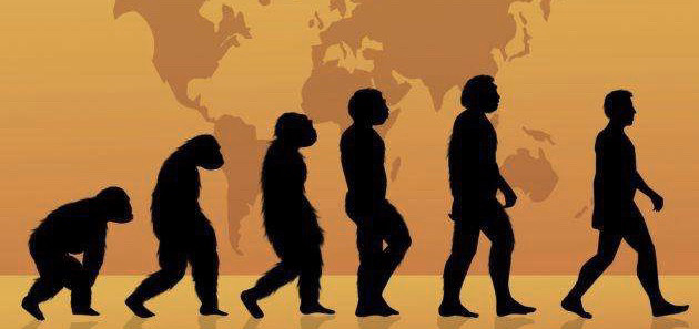 漫谈地球生命起源,你相信生物进化论还是地球动物园