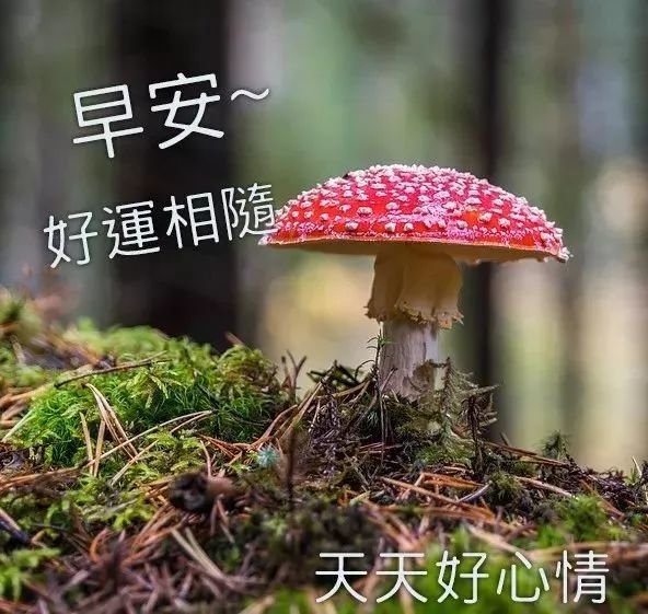 4月27日周个早晨温馨暖心的早上好动态图片大全 早上好阳光问候表情