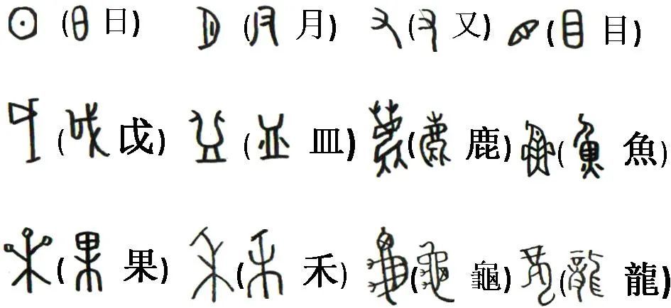 图13 若干甲骨文的象形字