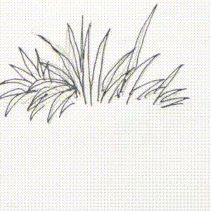 2.画草丛时先设定草丛根部.再由根部开始勾画草叶.