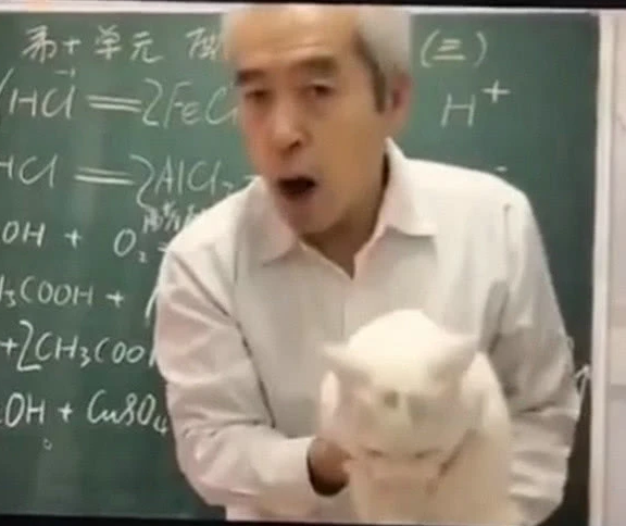 满满一黑板黑板上写满了化学公式,老师念叨着硫酸钠和氢氧化铜是不是
