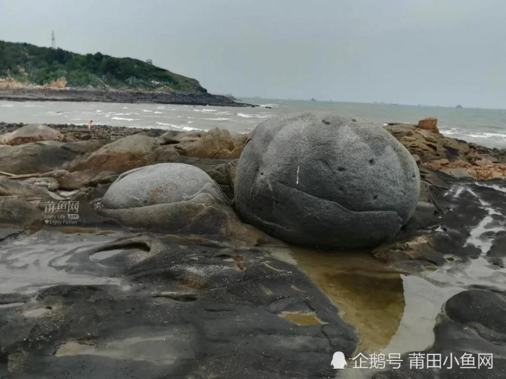 莆田这个海滩全是海鲜!统统不要钱