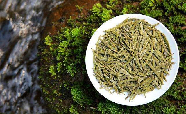 平阳黄汤雨润毛尖,霜生玉露,一任清风欣顾走进平阳