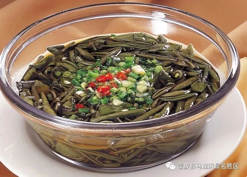 水中燕窝:马湖莼菜