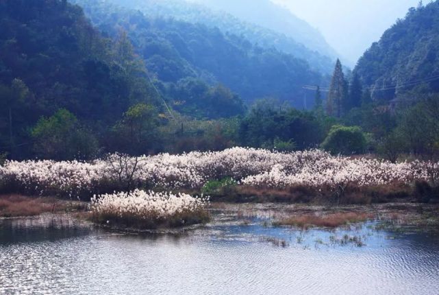 观顶湖 观顶湖位于海拔540米的龙观乡龙峰村观顶自然村,有"浙东天池"