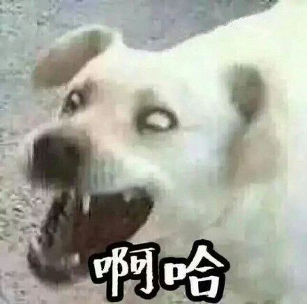 情头│一套丧心病狂的情侣沙雕图