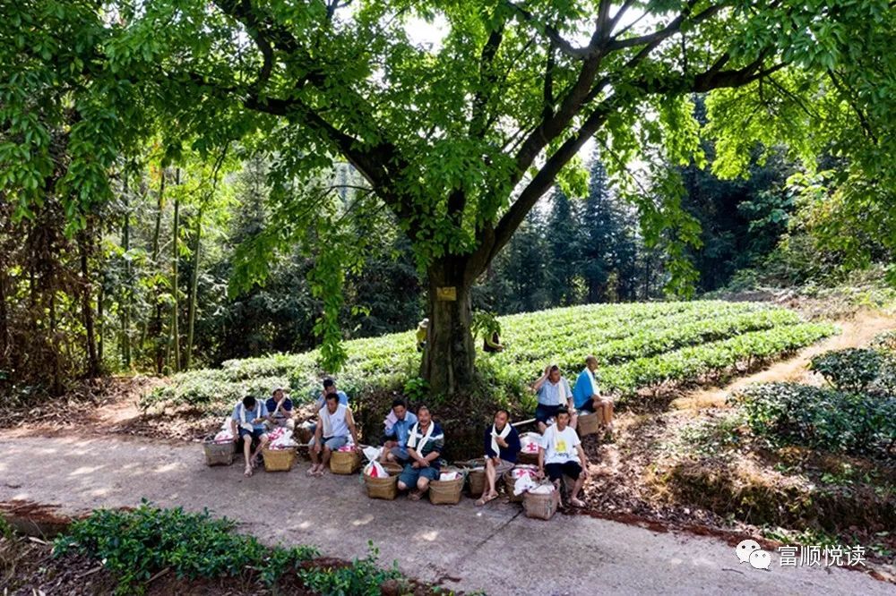 福善三景:耍马沟,月红岩,老鹰洞,感受自然与人文的诉说