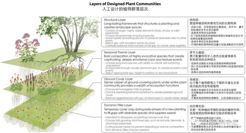 人工设计的植物群落是空间上垂直分层,并可在不同时间的同一垂直层中