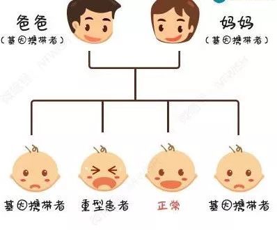 家族遗传地贫怎么办?台湾三代试管婴儿技术有效排除!