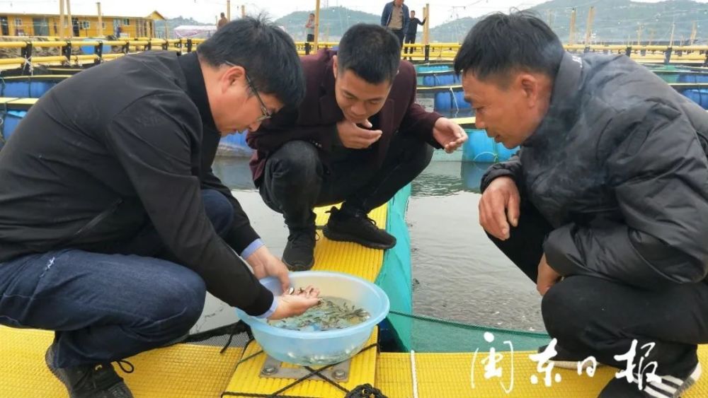 耕海牧渔走向深蓝福鼎海洋工厂不断壮大