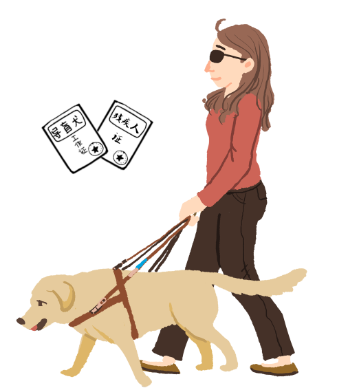 关于导盲犬是否能够乘坐公共交通的问题