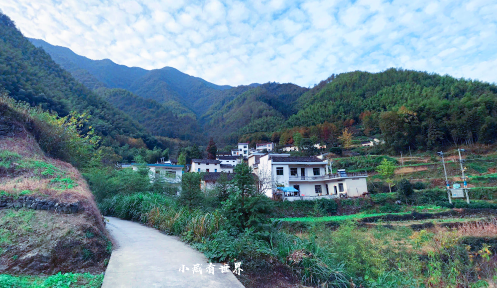 黟县人口多少_黟县碧阳初中
