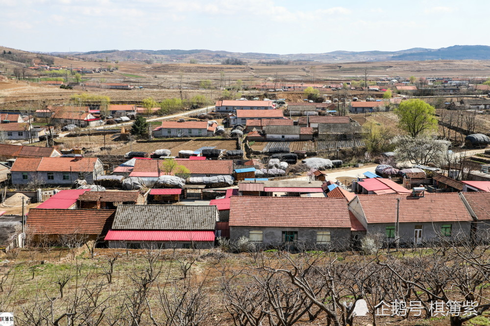 梨树县人口_鸡西市人口分布图 鸡东县21.19万,梨树区3.98万(3)