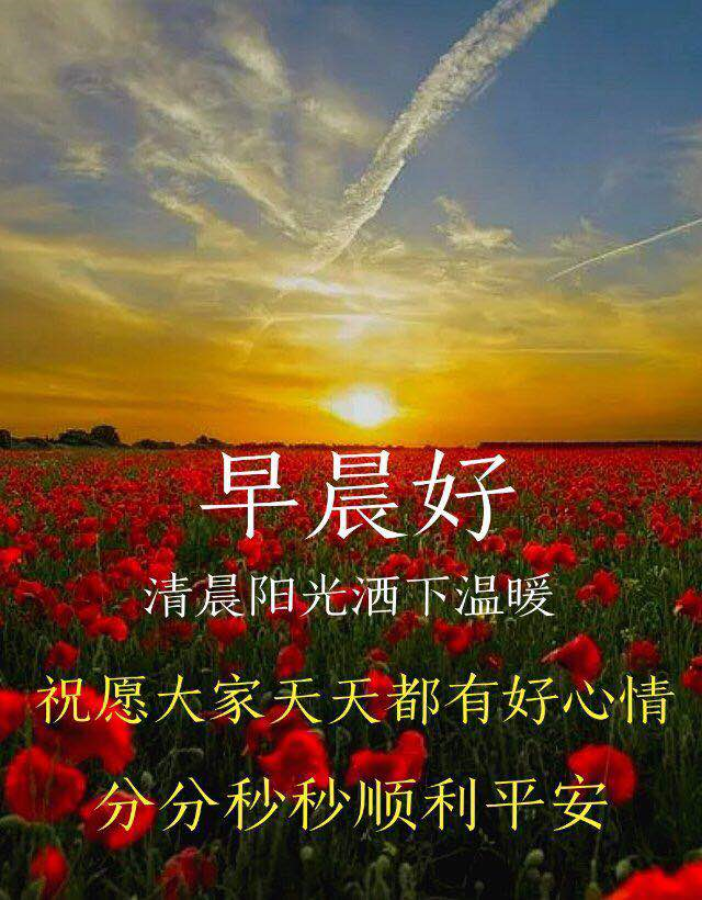 5月5日特漂亮的周二夏季下雨天早上好动图表情包 夏日