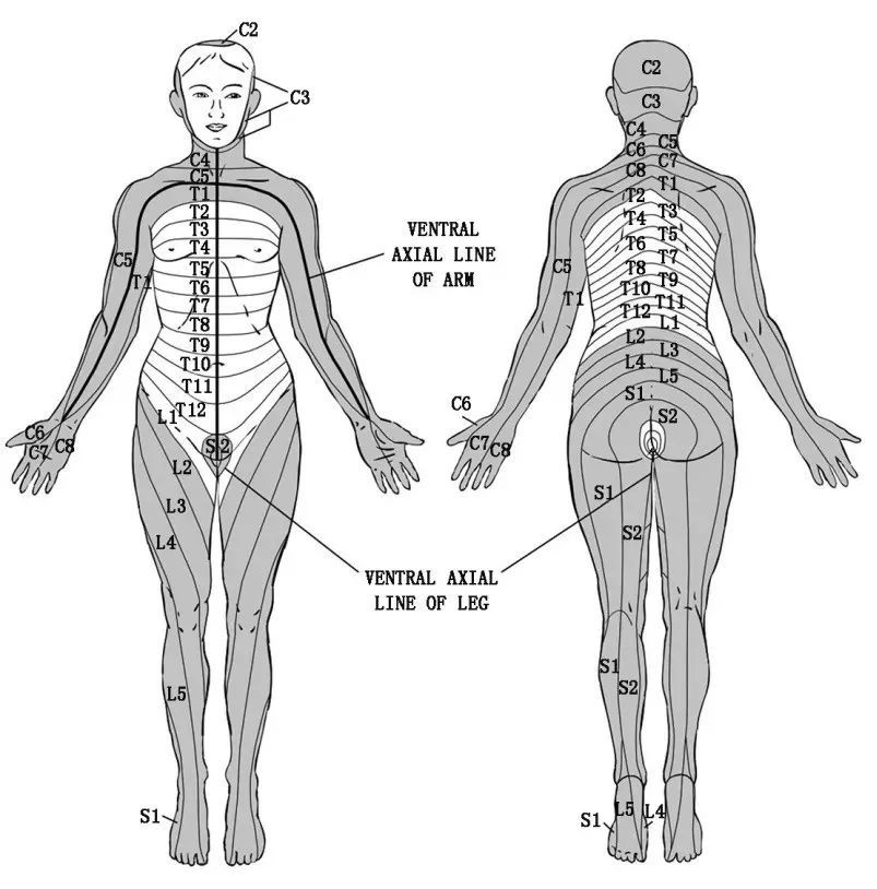 颈腰椎病患者如何精准描述你的颈肩腰腿痛程度?