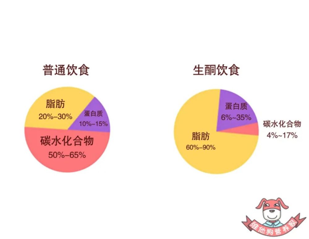 不吃主食你的脂肪就能分解了吗?解密生酮饮食减肥法的