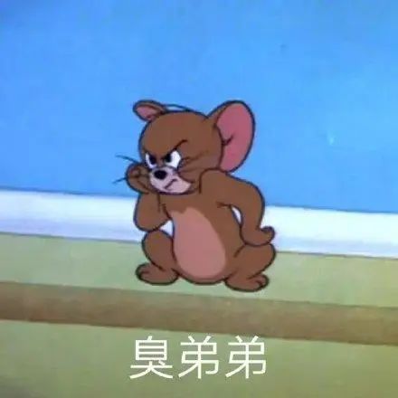 斗图表情包合集