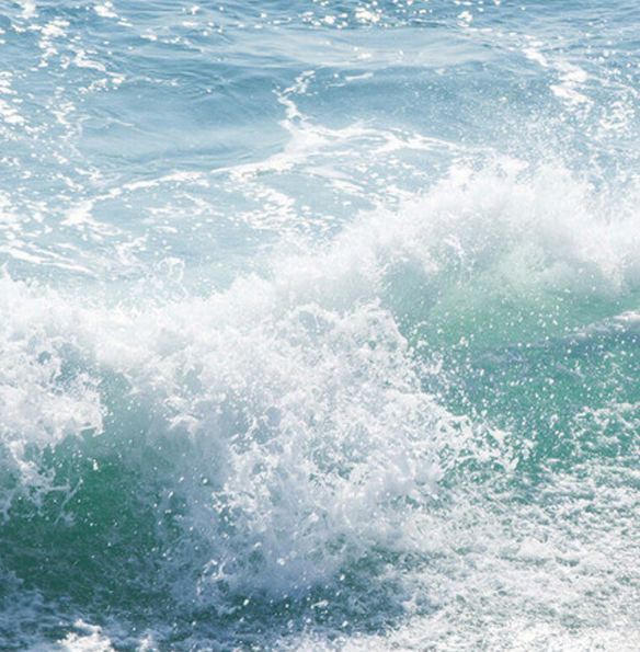 性格测试:选出你认为最美的浪花,测你最近旧爱重燃的