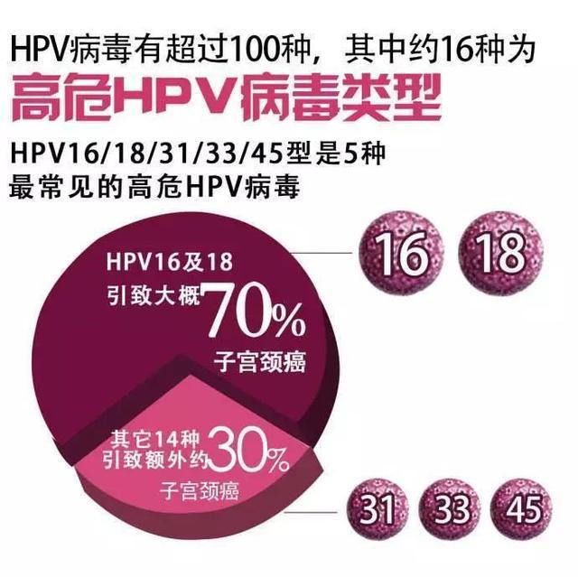hpv与宫颈癌关系密切