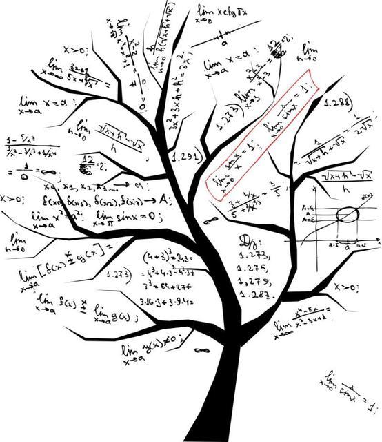 数学概念的游戏