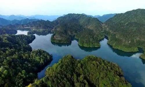 黄荆老林旅游景区位于四川省泸州市古蔺县西北部,是国家aaaa级景区.