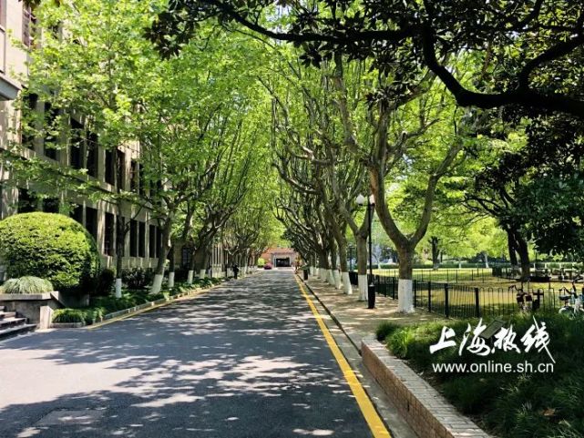 疫情期间,封闭的上海交大校园,它的另一种美,你见过吗?