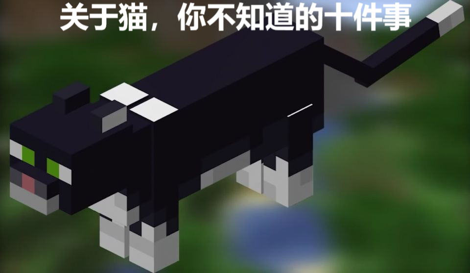 我的世界:上治幻翼下克苦力怕,关于猫神,你可能不知道