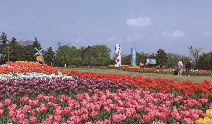 合肥植物园—四季花海—小岭南