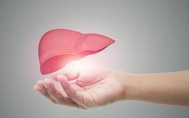 肝脏是我们人体很重要的一个代谢器官,如果肝脏功能不好也容易引发