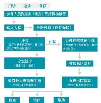 人口支付_人口普查(2)