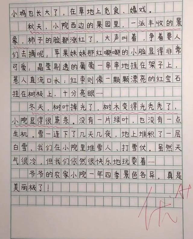 小学老师晒小学生优秀作文,不仅思路清晰而且书写堪比